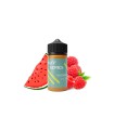 Puff Series Raspberry watermelon Salt Likit