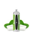 Starbuzz Gum Mint Puff - Ultra Max 25K